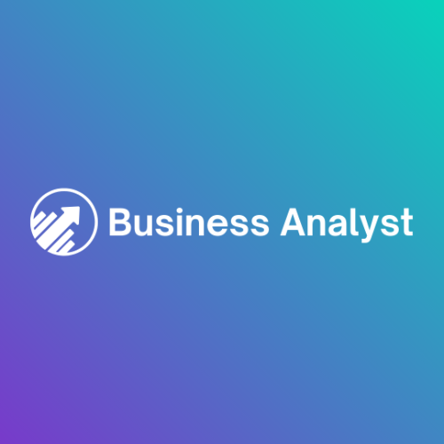 Business Analyst